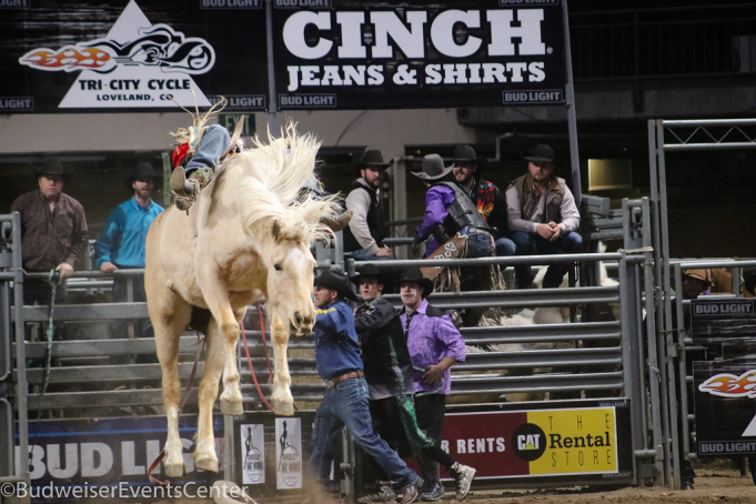 New Year's Extreme Rodeo Challenge at Budweiser Events Center